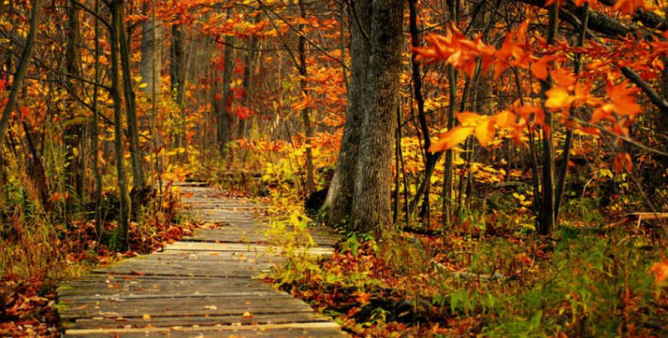 Se adelantó el otoño que este año llegará con más precipitaciones que lo normal