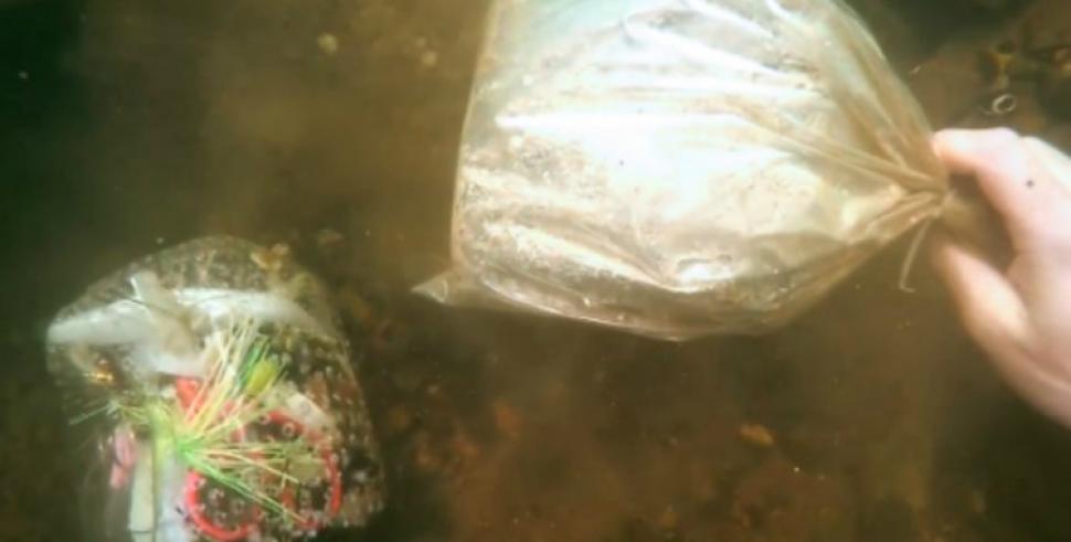 Buceaba en el río y encontró algo totalmente distinto a lo que buscaba