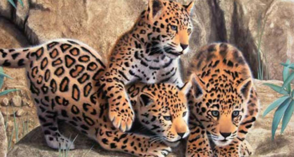 Los primeros cachorros de yaguareté en más de 50 años nacieron en Corrientes