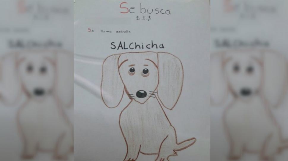 Como no tiene fotos de su perrita, la dibujó y pegó carteles buscándola