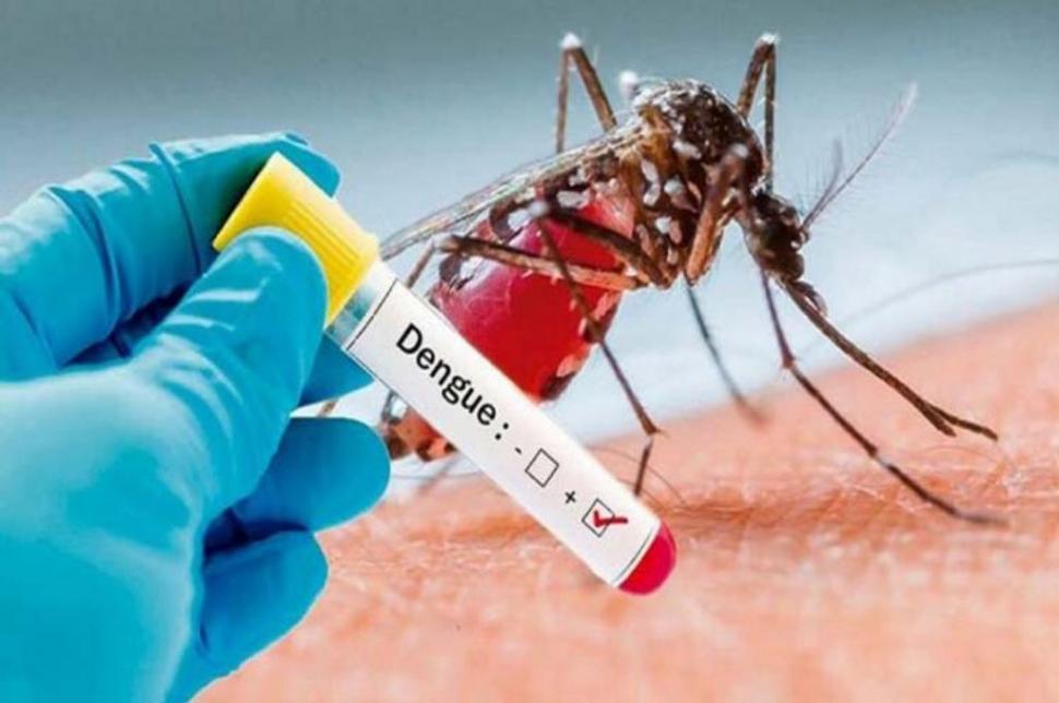El dengue se cobró sus primeras vidas en Tucumán