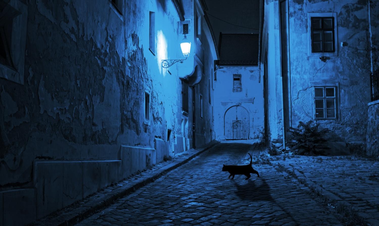 Historia de los refranes: De noche todos los gatos son pardos
