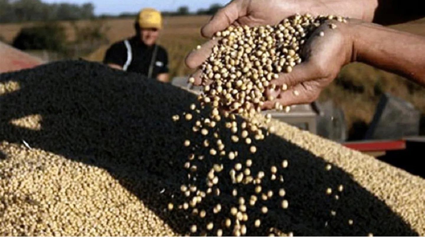 El Gobierno analiza un nuevo dólar soja para que el campo liquide divisas: busca captar US$5100 millones