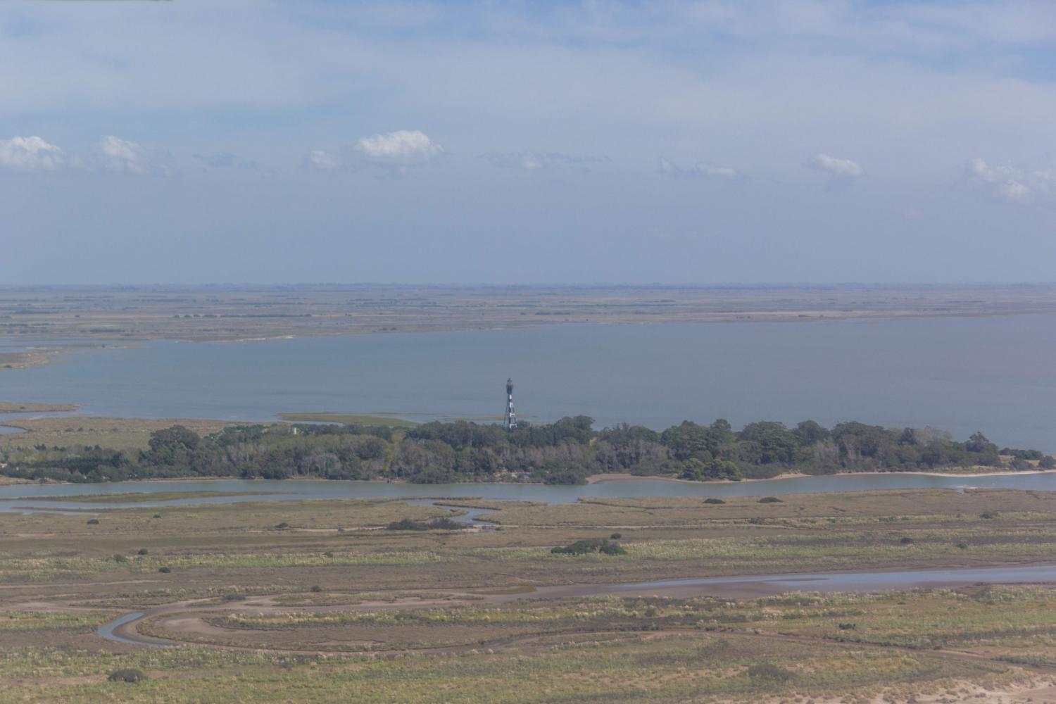 Se realizó el censo del Venado de Las Pampas en la Bahía Samborombón