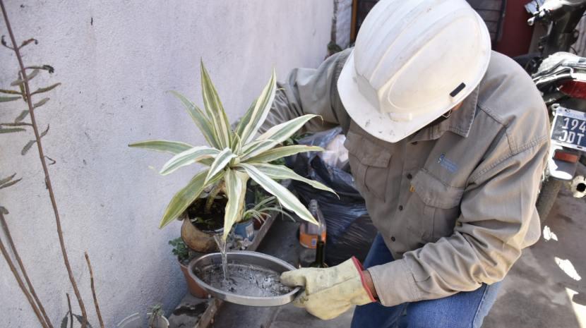 Tafí Viejo: seguí estas medidas preventivas contra el dengue