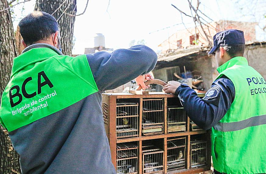 La Brigada de Control Ambiental rescató aves silvestres en Del Viso