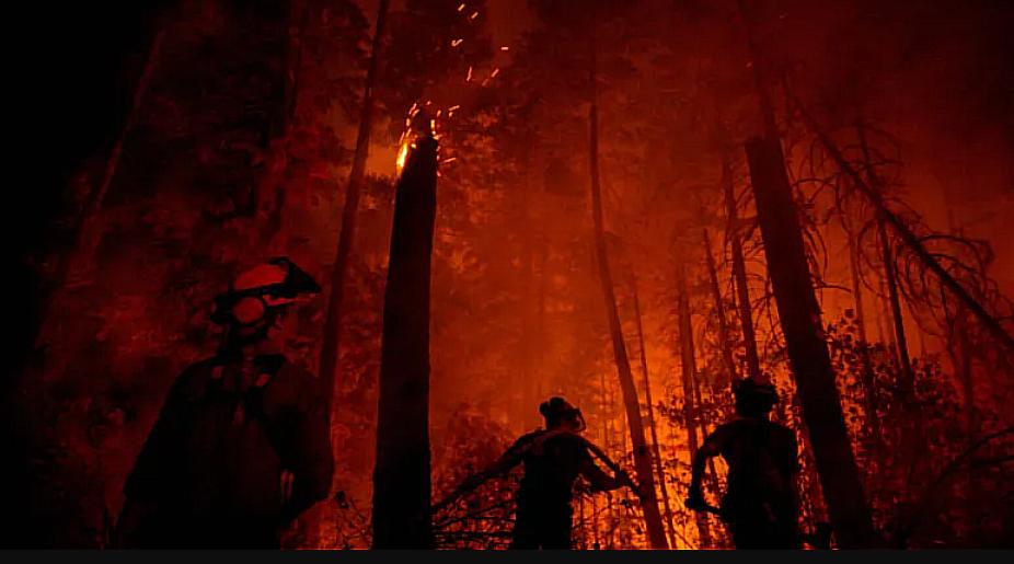 Polémica en Canadá: Meta bloquea noticias durante la crisis de incendios y genera controversia
