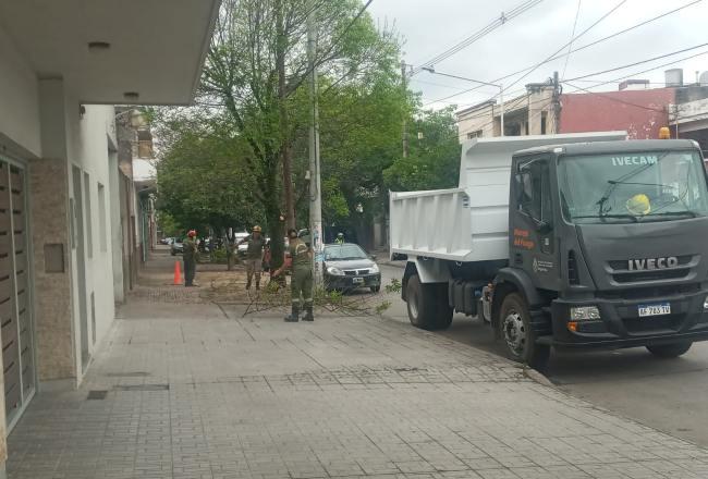 Podan árboles para mejorar la visión de puestos de vigilancia policial